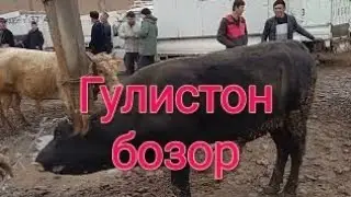 Гулистон бозор