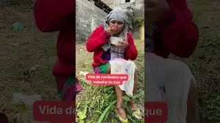 Vida na roça