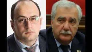 Որտե՞ղ են գերմանական կռունկները, որոնք Գյումրիում լինելու փոխարեն հայտնվել են արտերկրում՝ըստ մամուլի