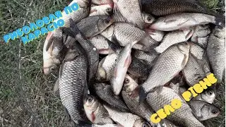 Закриття сезону по карасю. Результатом задоволені.