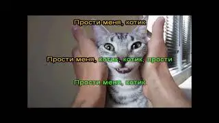 Ляпис Трубецкой - Котик (караоке)