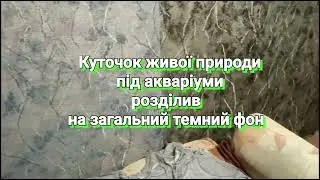 Ремонт Аквариумной Комнаты  Своими Руками
