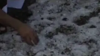 Again Snow In The UAE 8 ثلوج و أمطار و عواصف في الامارات