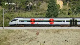 Comboio da LIBERDADE nos 50 anos do 25 de ABRIL