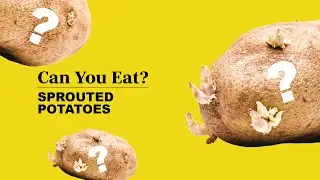 A Very Useful Guide to Sprouted Potatoes