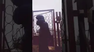 Это мои братья и было норм