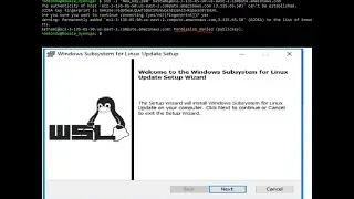 AWS EC2 Access SSH Permission denied (Public Key) resolved using WLS on Windows 10