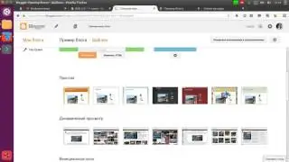 blog design