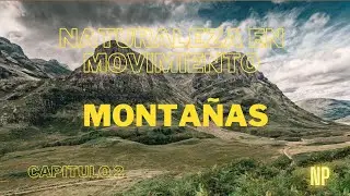 🗻NATURALEZA EN MOVIMIENTO 2: Un Viaje Sensorial 🗻