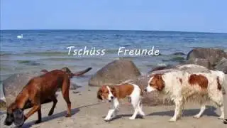 7 Jahre Binz vorbei ...