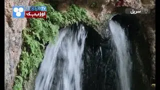 سرپل ولایتی نینگ انگشت شاه دم آلیش ساحه سی