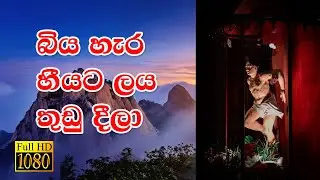 බිය හැර හීයට ලය තුඩු දීලා