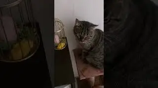 где отмечать?