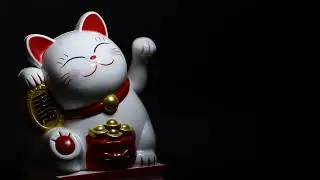 Kedi Selam Veriyor, Siz de Selam Vermeye Ne Dersiniz ?