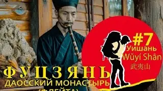 [Чайное дерево] Фуцзянь Китай. "Китайская флейта" Уишань  武夷山 #7