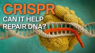 WHAT IS CRISPR AND HOW CAN IT HELP DNA RESEARCH? | Science in 60 Seconds