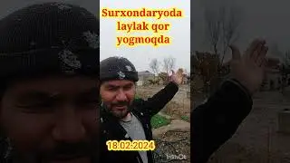 Surxondaryoda qor 18.02.2024
