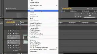 Unlinking audio and video - Adobe Premiere Pro CS5 Video Tutorial