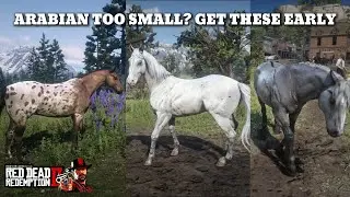 RDR2 - Early Game Horses - Rare Appaloosa & Mustang Spawn Locations
