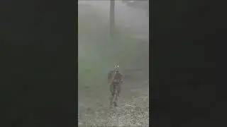 Алхимия имба