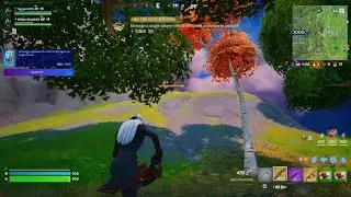 FORTNITE Dous win NL
