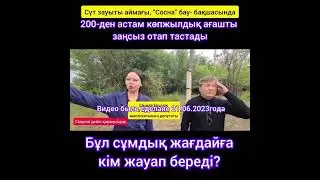 Убивают деревья в Актобе