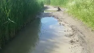 Покатались по Грязи застрял и сел на брюхо