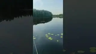 природа ,рыбалка , змейка
