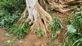 Oahu 2024
