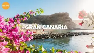 Gran Canaria – Koe koko perheen suosikkisaari