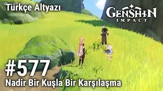 Genshin Impact 