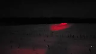 call of the wild