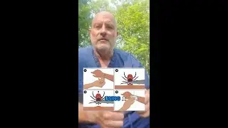 How to Remove a Tick