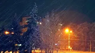 Тихо падал снег