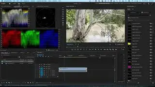 iPhone vision blown out in Premiere Pro? Here's the fix