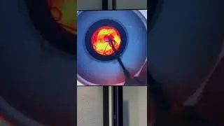 SimulEYE Ophthalmic Surgical Training Models