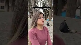 🐶 Perros cuando los graban #comediafamiliar #doglover #anecdotas