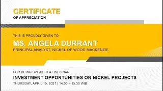 An overview of supply, demand and future prospect for Filipino nickel miners