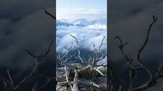 Течение времени
