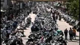 Sturgis Short 2000