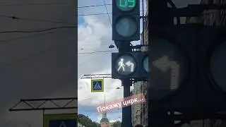 #цирк