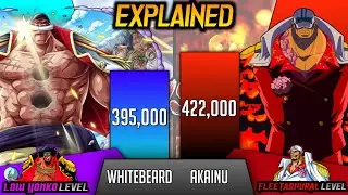 Old Whitebeard Vs Akainu, who's Stronger ? Explained - SP Senpai 🔥