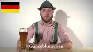L'Allemand comparé à d'autres langues