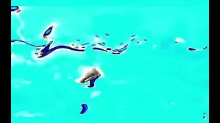 Sea lion preview 2 in Capcut electric sounds 