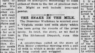 The Snake in the Milk | July 8, 1902