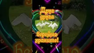 Красивое поздравление с днём семьи, любви и верности! 8 июля ❤️❤️❤️