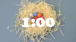 1 Minute Countdown Timer | EASTER EGG NEST, SPRING | Alarm Bell Tone