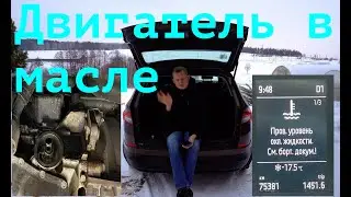 Skoda Kodiaq Двигатель в масле, антифриз ушёл, 75 тысяч ТО.