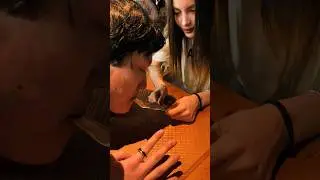 Съел купюру и восстановил #Shorts