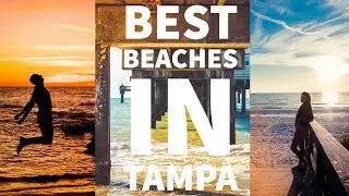 Best Beaches In Tampa - Clearwater & St. Pete | Florida Diaries 2018